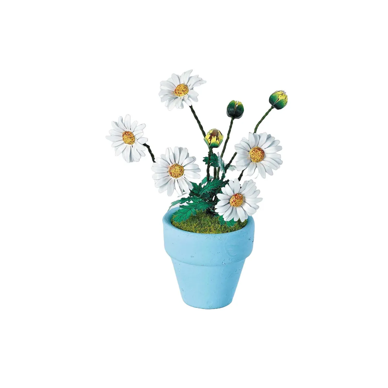 SEE11691 K20805 - Gaensebluemchen _Iron Star_ 1