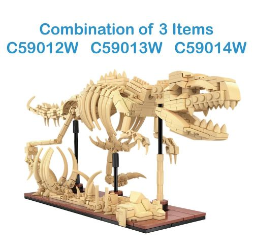 Dino Museeums Set Dino Museeums Set