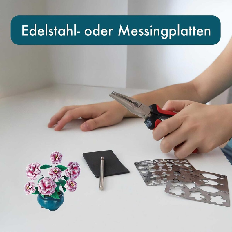 SEE11694 K31113 - Kamelien _Iron Star_ 1