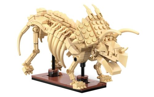 Dino Museeums Set 