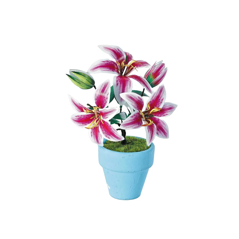 K20806 - Lilien (Iron Star) K20806 - Lilien (Iron Star)