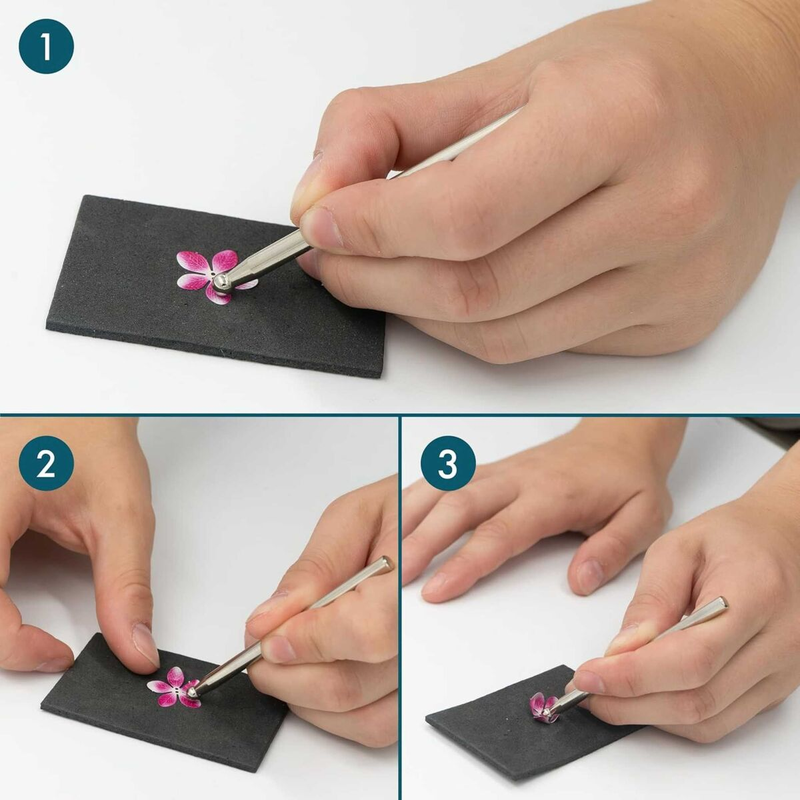 SEE11694 K31113 - Kamelien _Iron Star_ 1