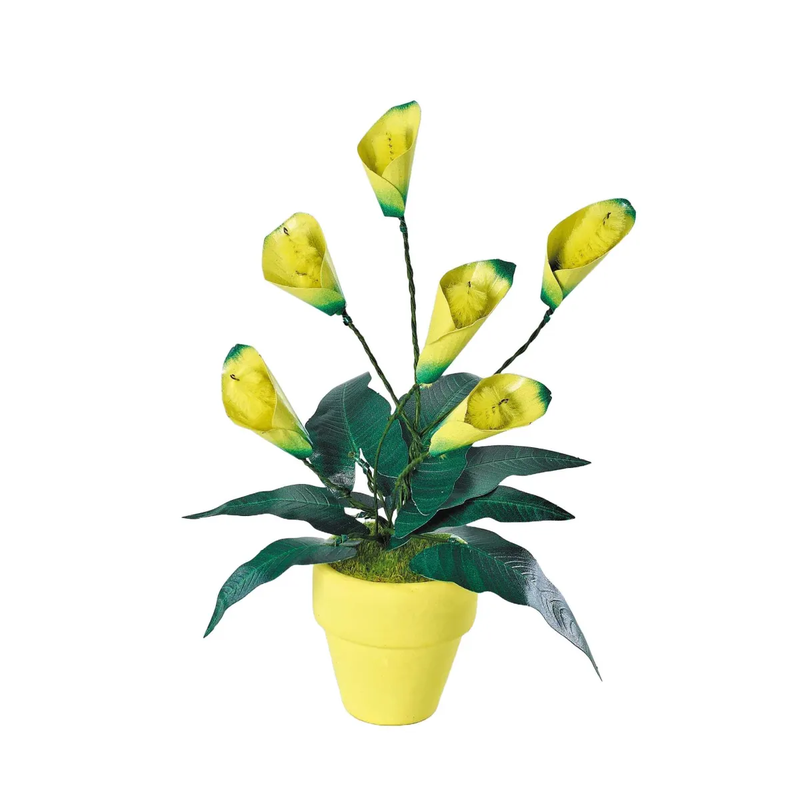 K20803 - Gelbe Lilie