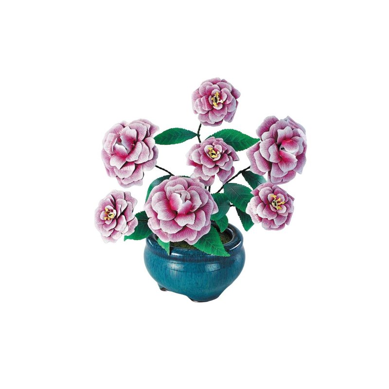 SEE11694 K31113 - Kamelien _Iron Star_ 1