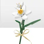 Sembo Narzisse 601251