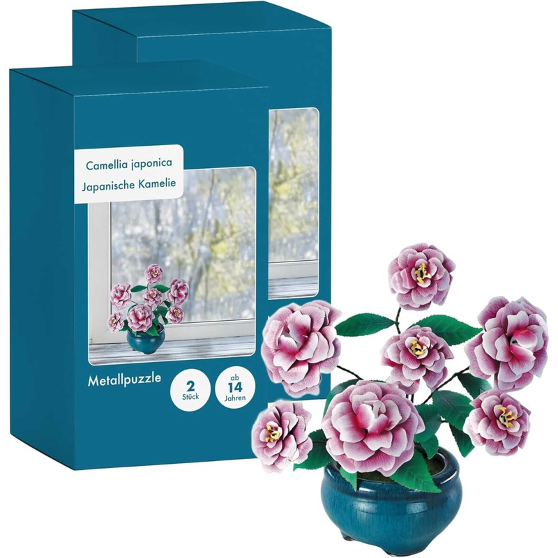 SEE11694 K31113 - Kamelien _Iron Star_ 1